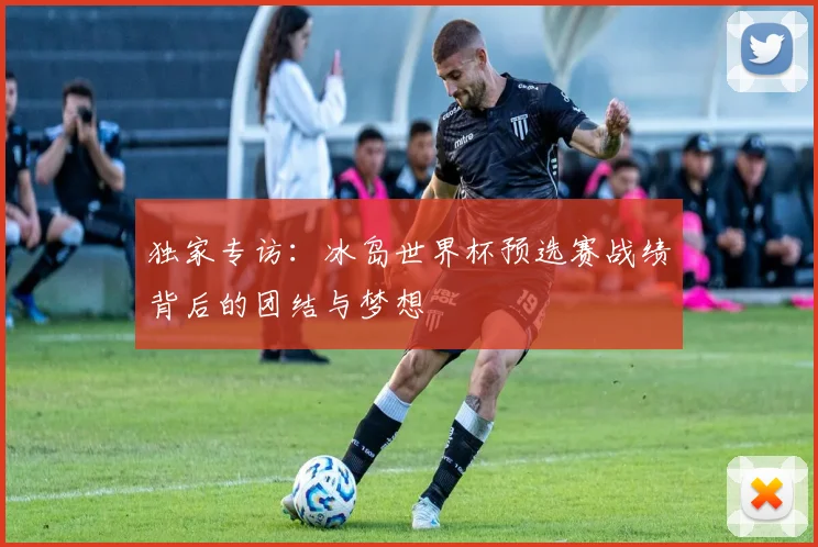 独家专访：冰岛世界杯预选赛战绩背后的团结与梦想