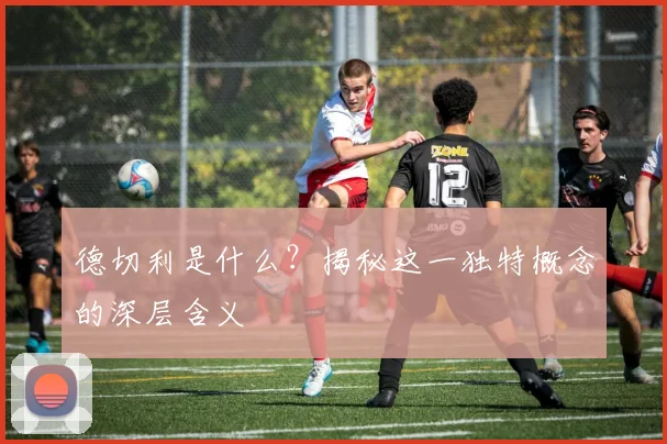 德切利是什么?揭秘这一独特概念的深层含义