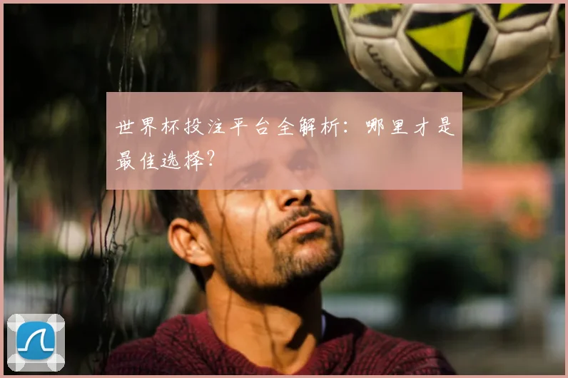 世界杯投注平台全解析：哪里才是最佳选择？