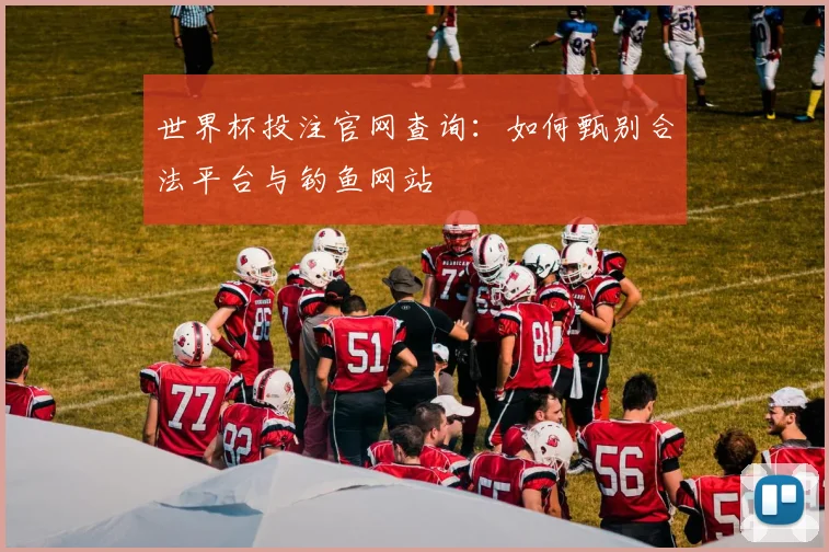 世界杯投注官网查询：如何甄别合法平台与钓鱼网站