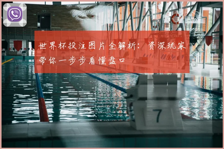 世界杯投注图片全解析：资深玩家带你一步步看懂盘口
