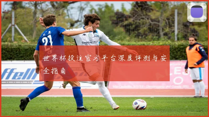 世界杯投注官方平台深度评测与安全指南