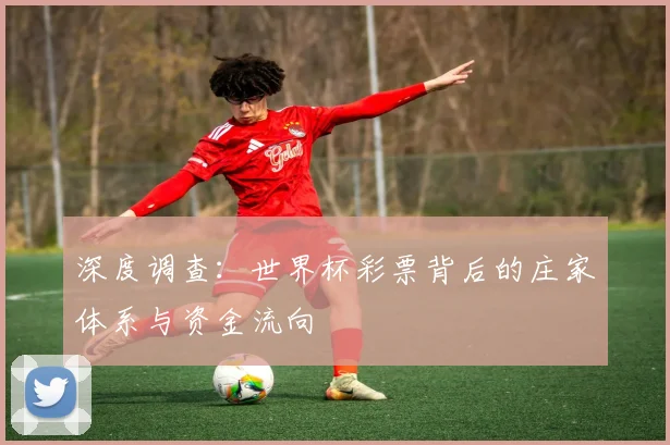 深度调查：世界杯彩票背后的庄家体系与资金流向