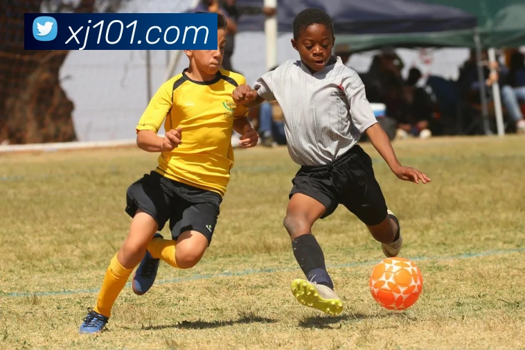 米兰app体育官方版下载发展历程